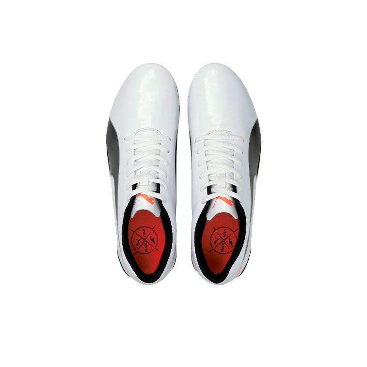 PUMA EvoSPEED Prep Sprint 2, Z - Men Shoes Puma reseña y precio